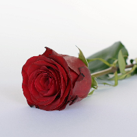 Nils Bertil Gunnar Vestin