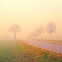 Eva  Krutrök Karlsson